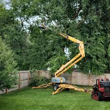 Best Lawn Watering Services  in Hebron, MD